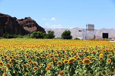 音乐 炫酷的画面 俄罗斯方块 经典益智游戏《Lumines》新作秋季发售